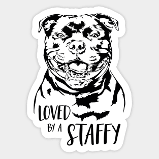 Staffordshire Bull Terrier loved by a staffy saying Sticker